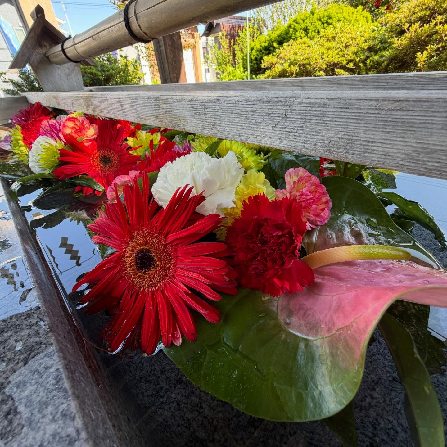 豊景神社 Instagram